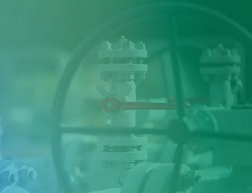 Mutual Energy joins Future Energy Networks